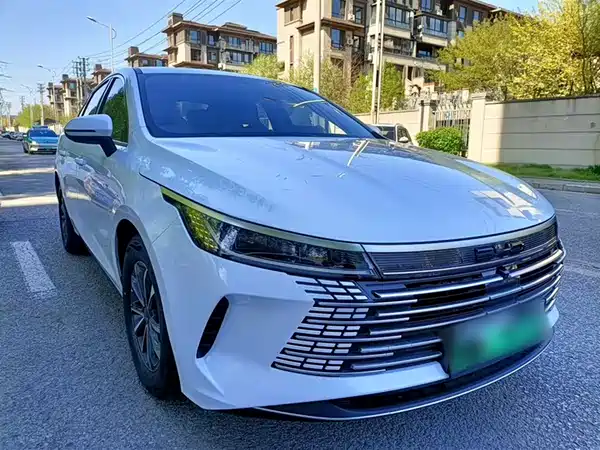 BYD Destroyer 05 2024
