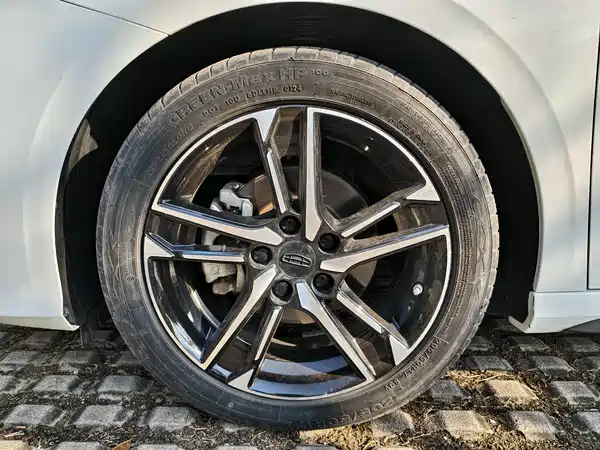 Geely Binrui 2024