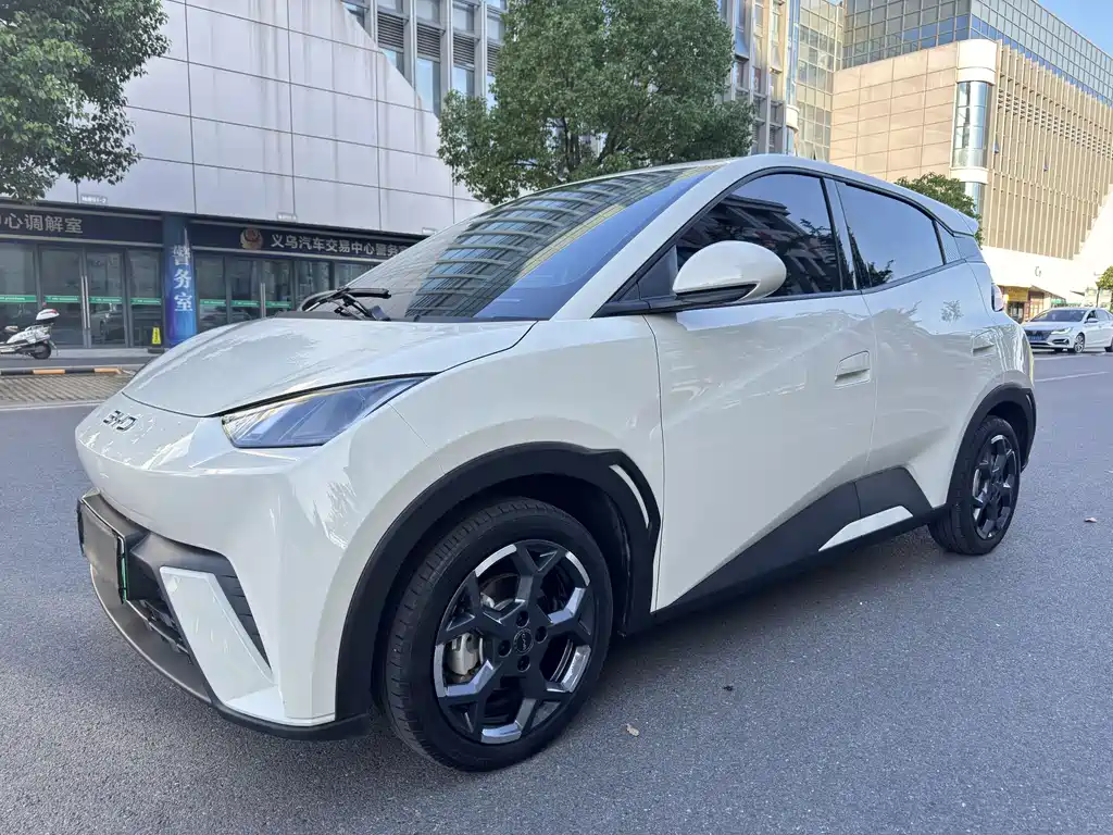 BYD Seagull 2025