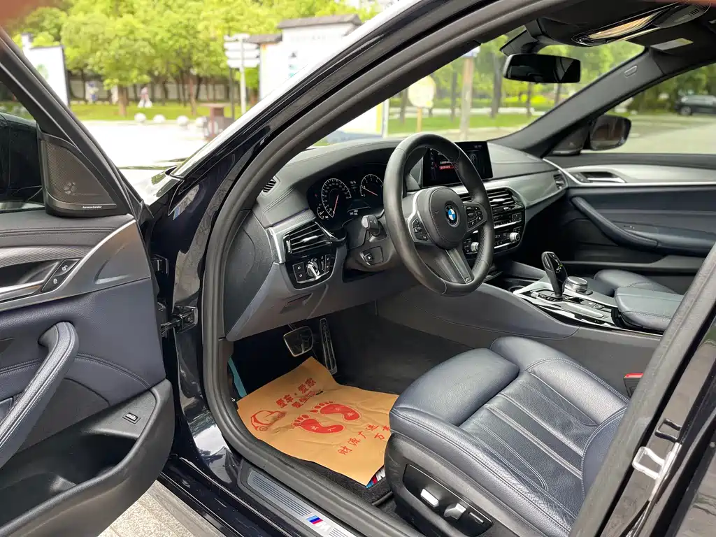 BMW 5 Series 2019