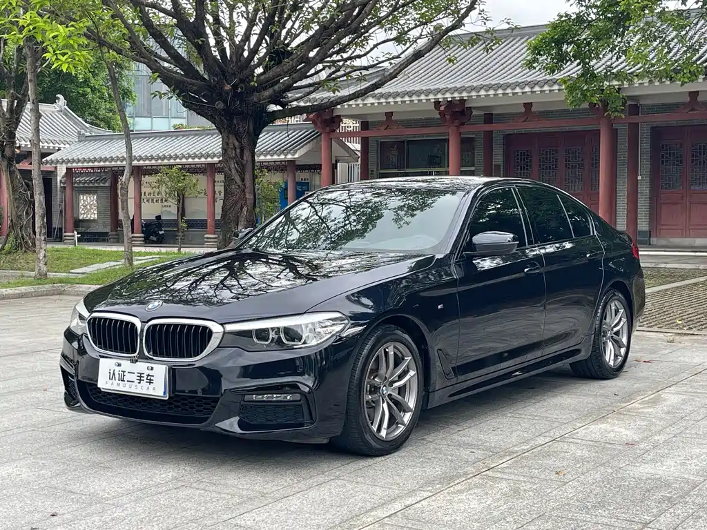 BMW 5 Series 2019