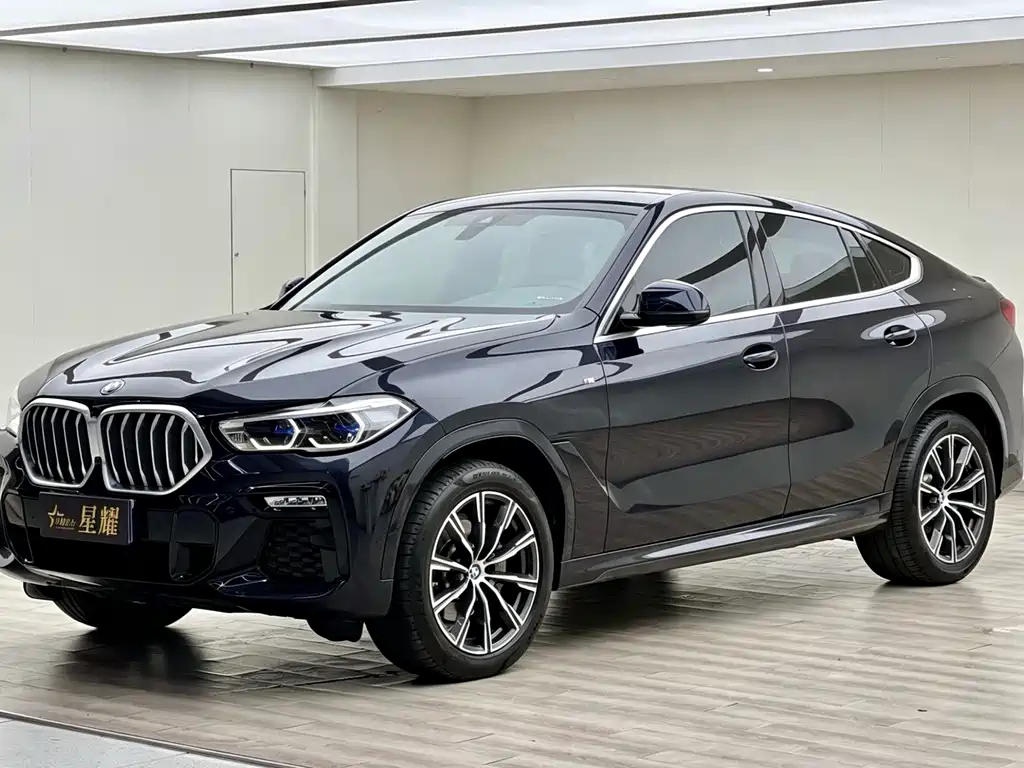 BMW X6 2021