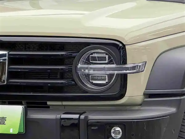 Tank 300 New Energy 2025