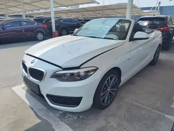 BMW 2 Series 2018