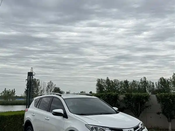 Toyota RAV4 2015