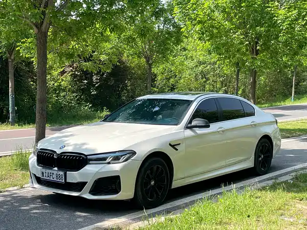 BMW 5 Series 2013