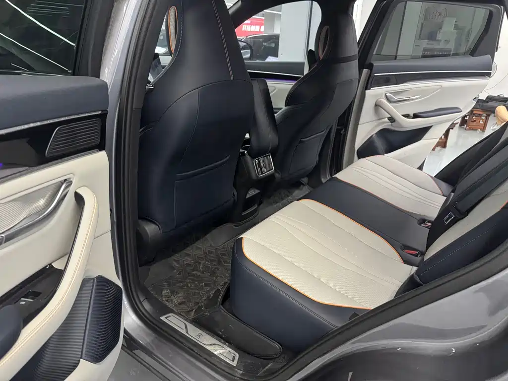 BYD Song PLUS New Energy 2022 — фото 7