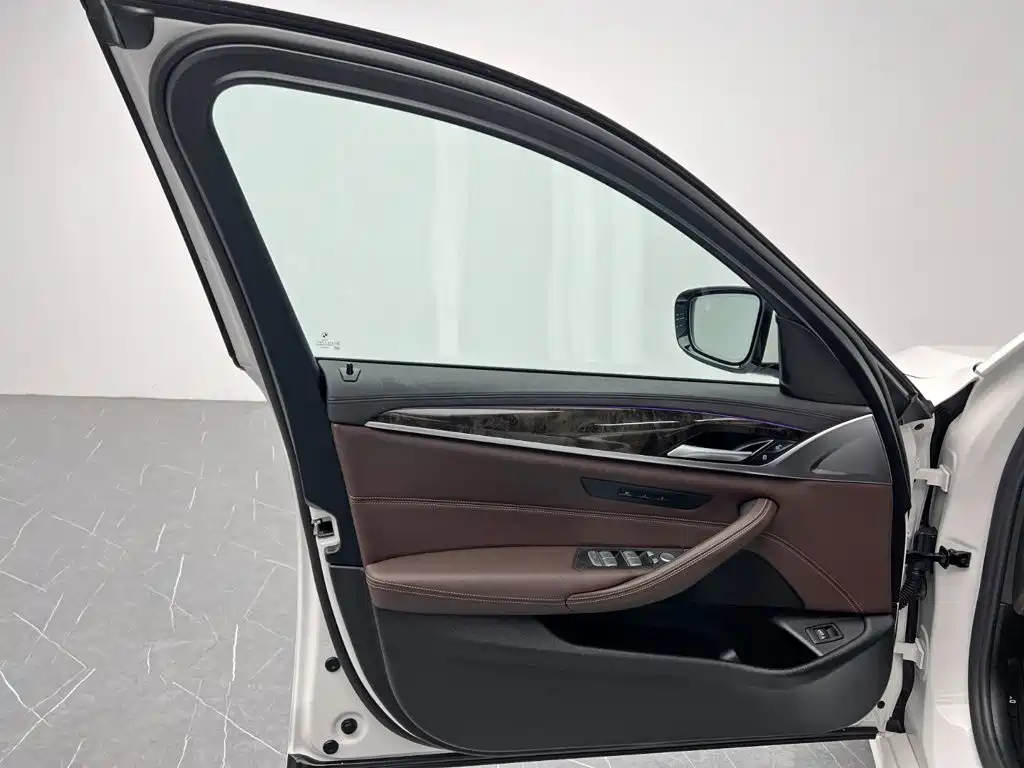 BMW 5 Series 2019 — фото 11