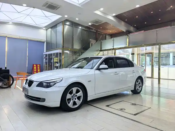 BMW 5 Series 2010
