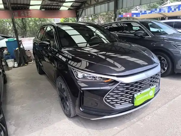 BYD Tang New Energy 2024