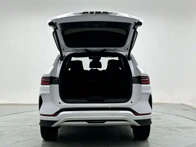 BYD PLUS New Energy 2023 — фото 10