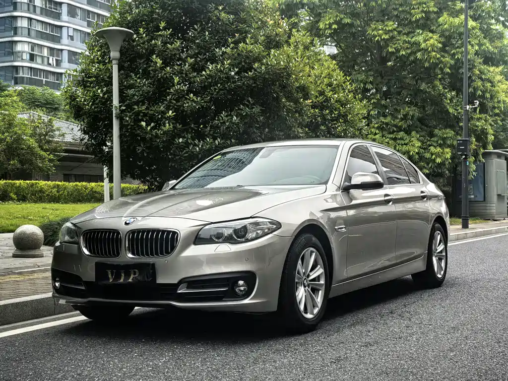 BMW 5 Series 2017 — фото 1