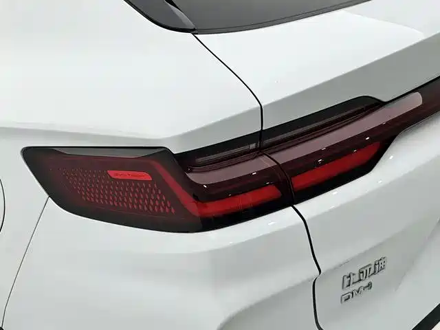 BYD PLUS New Energy 2023 — фото 9