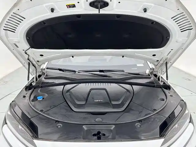 BYD PLUS New Energy 2023 — фото 11