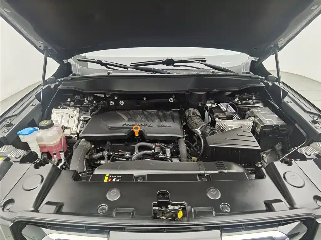 Haval Big Dog 2020