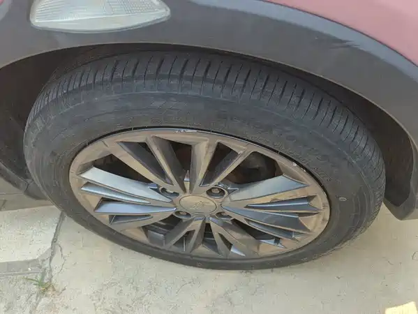 Neta V 2022