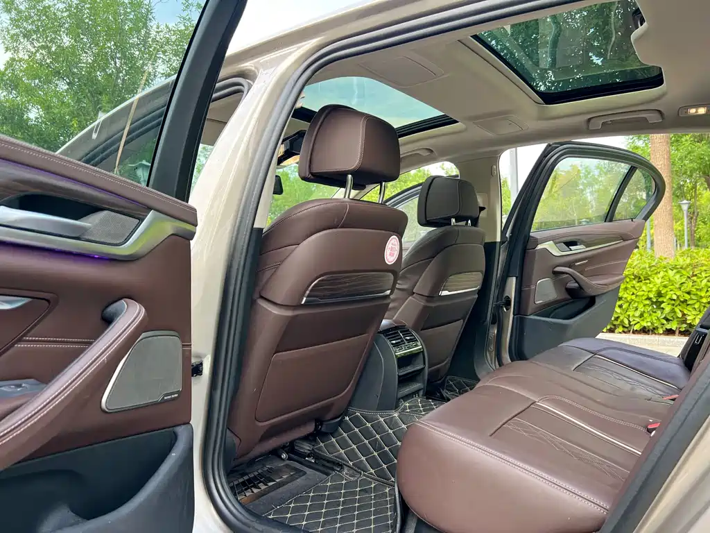 BMW 5 Series New Energy 2020