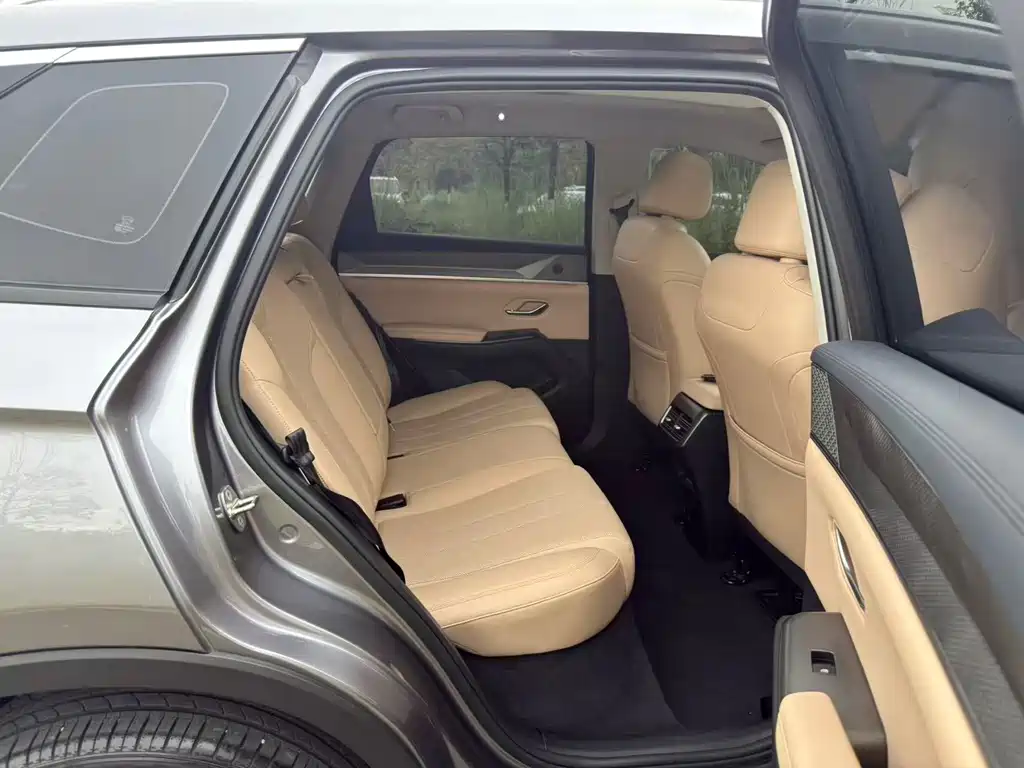 BYD Song Pro New Energy 2024 — фото 26
