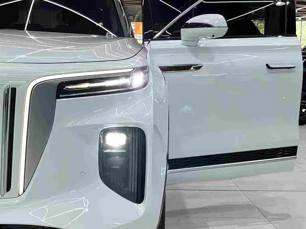 Hongqi E-HS9 2022 — фото 30