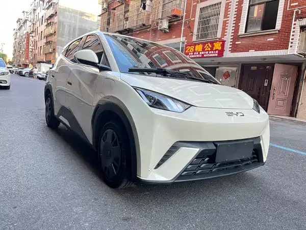 BYD Seagull 2025