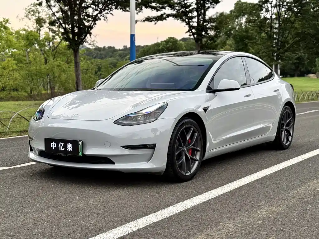 Tesla Model 3 2021 — фото 1