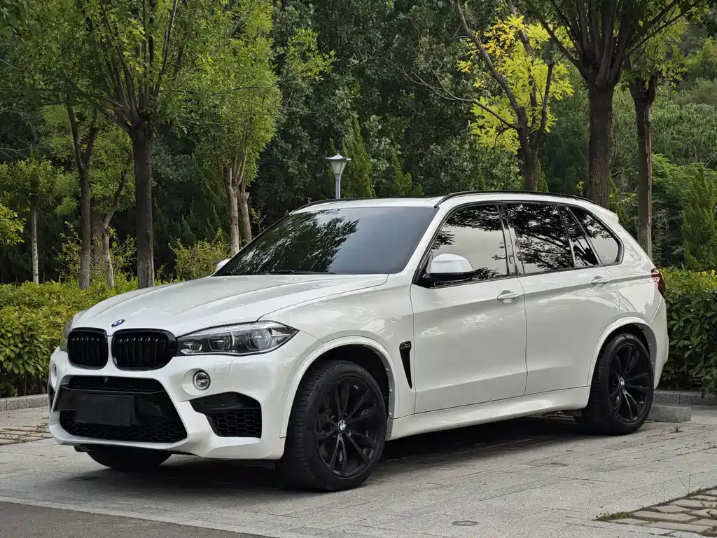 BMW X5 2017