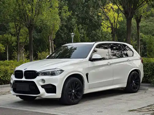 BMW X5 2017