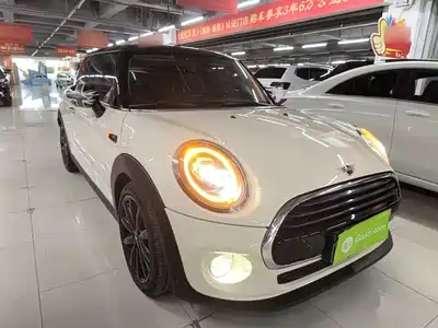 MINI MINI 2019