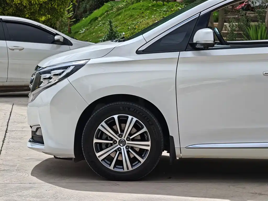 GAC Trumpchi M8 2019 — фото 9