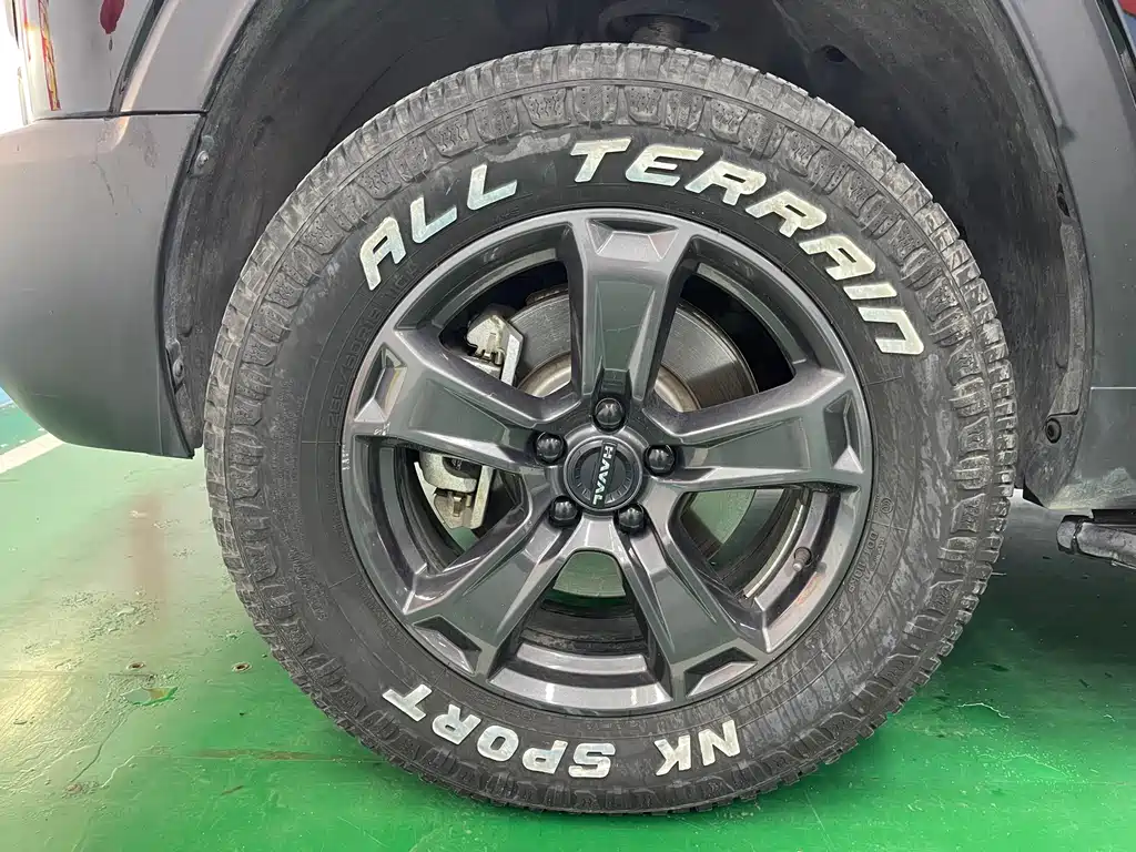 Haval Raptors New Energy 2024 — фото 40