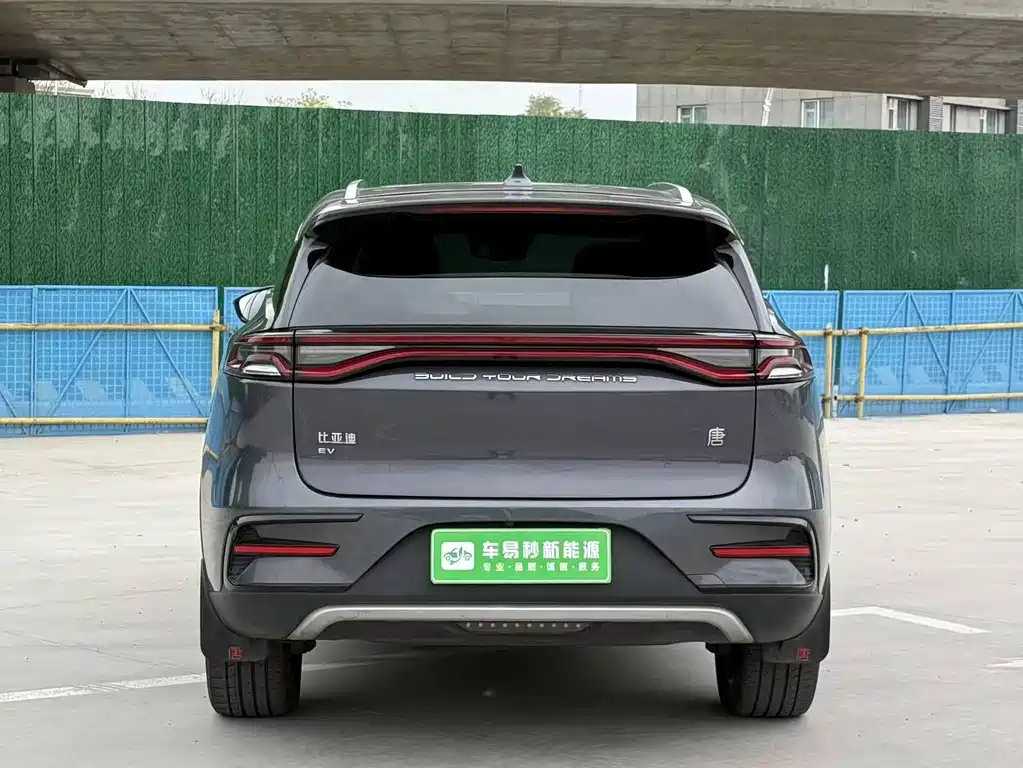 BYD Tang New Energy 2021 — фото 4