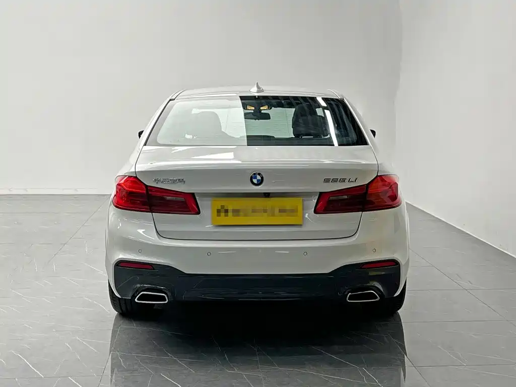 BMW 5 Series 2019