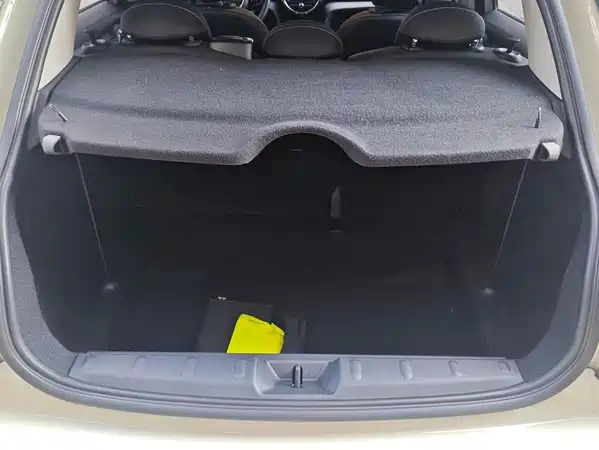 MINI 2020