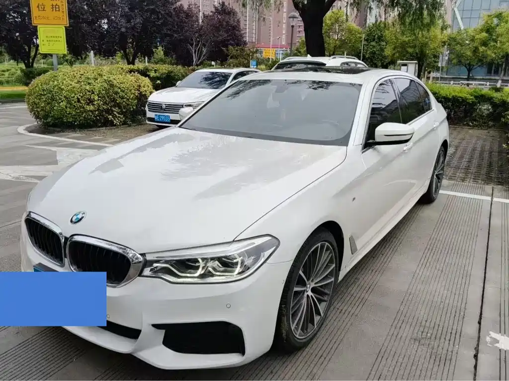 BMW 5 Series 2019