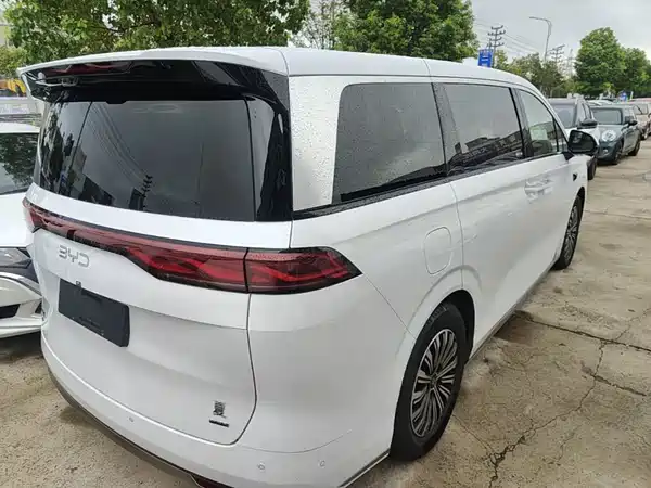 BYD Summer 2025