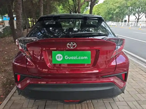 Toyota IZOA 2019
