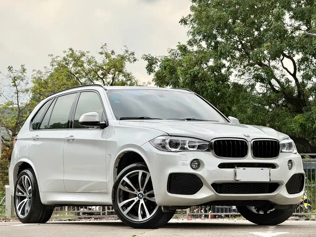 BMW X5 2017 — фото 3