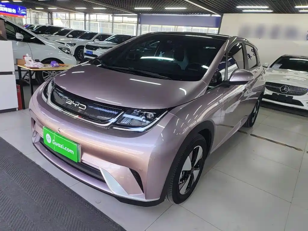 BYD Dolphin 2023 — фото 2
