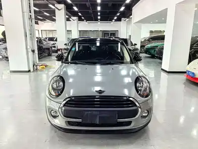 MINI MINI 2018
