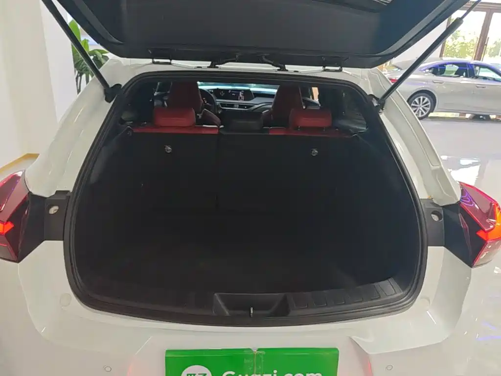 Lexus UX 2021 — фото 19