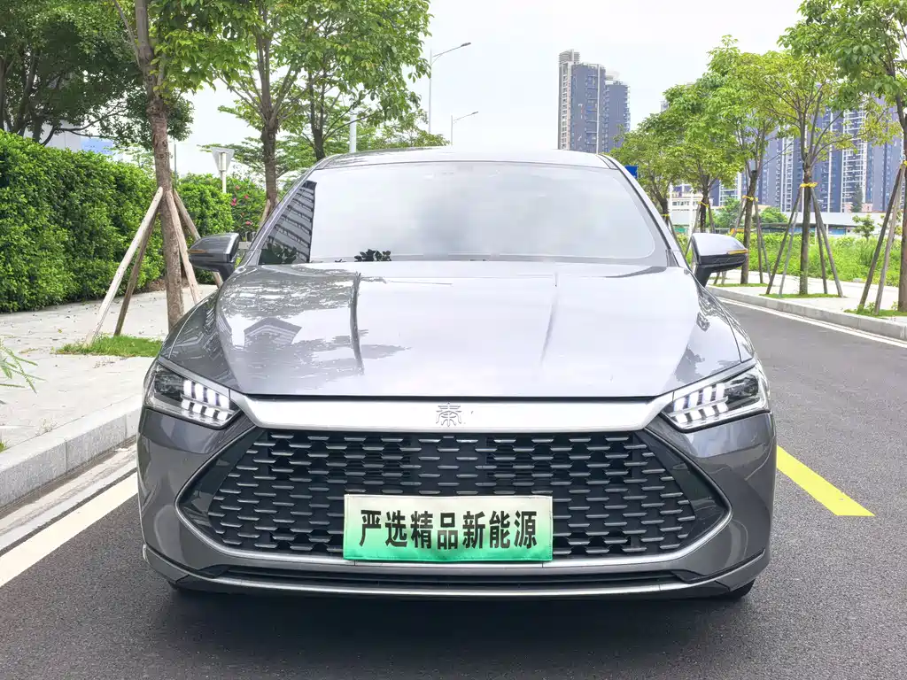 BYD Qin PLUS 2023 — фото 2