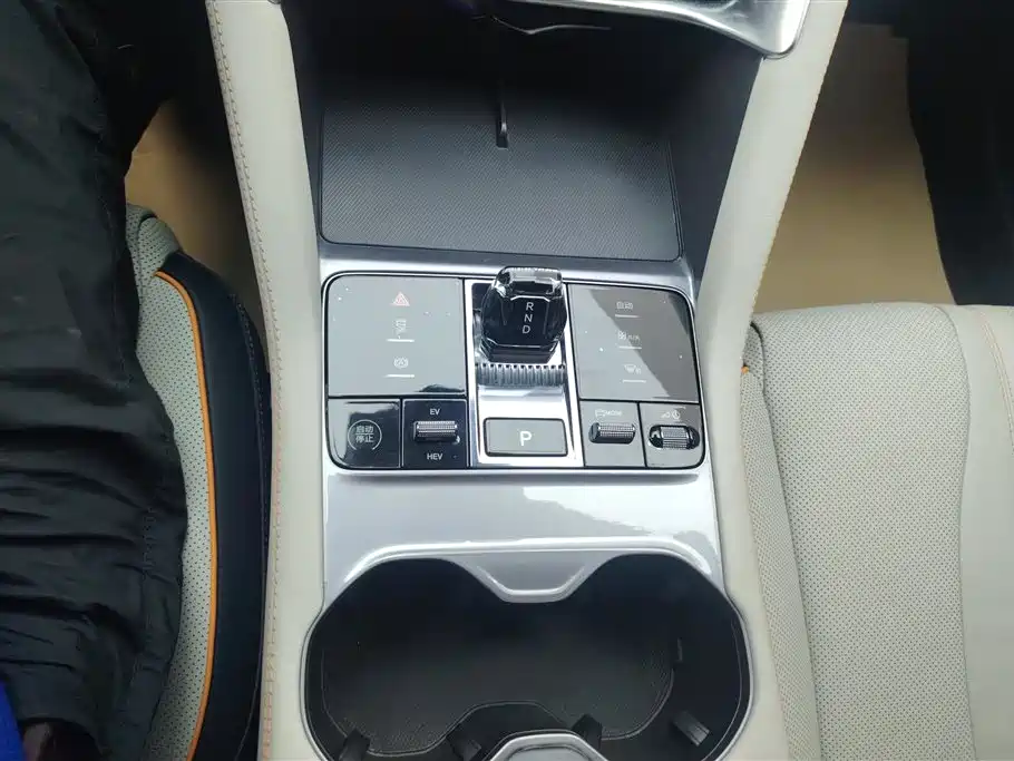 BYD PLUS New Energy 2023 — фото 16