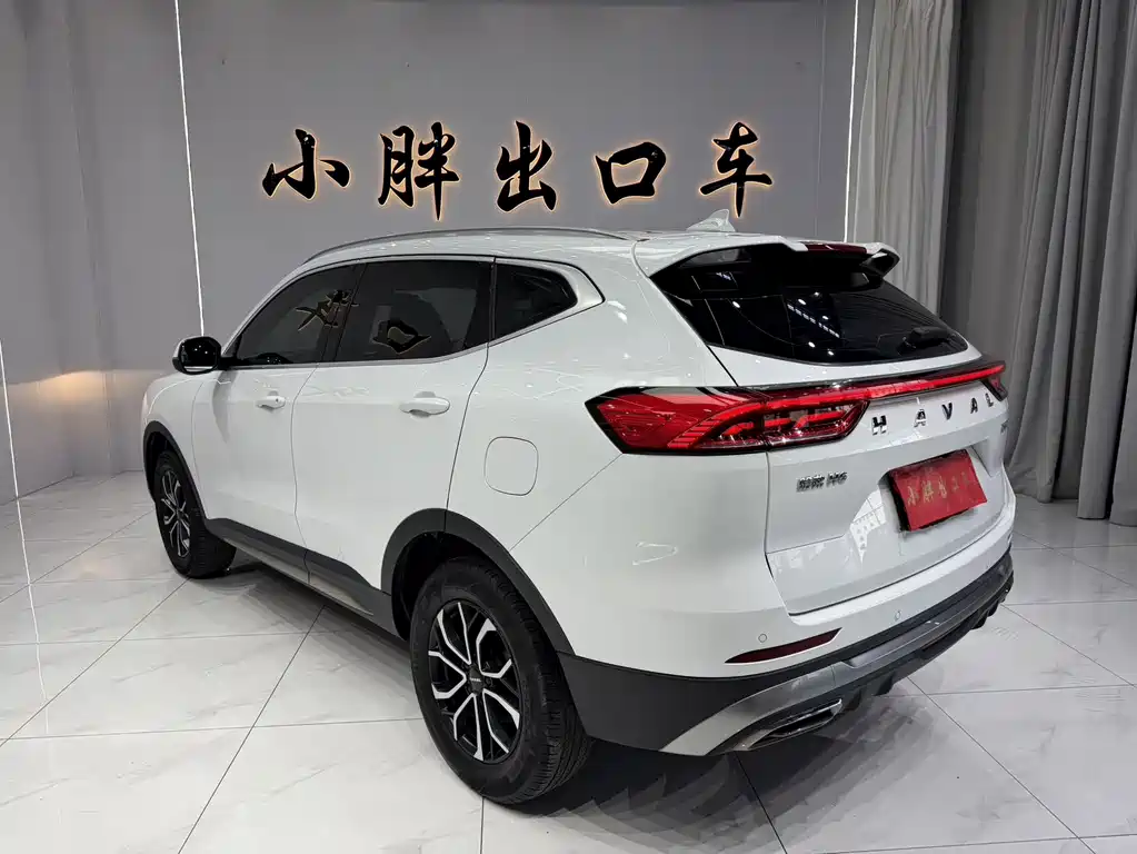 Haval H6 2023 — фото 6