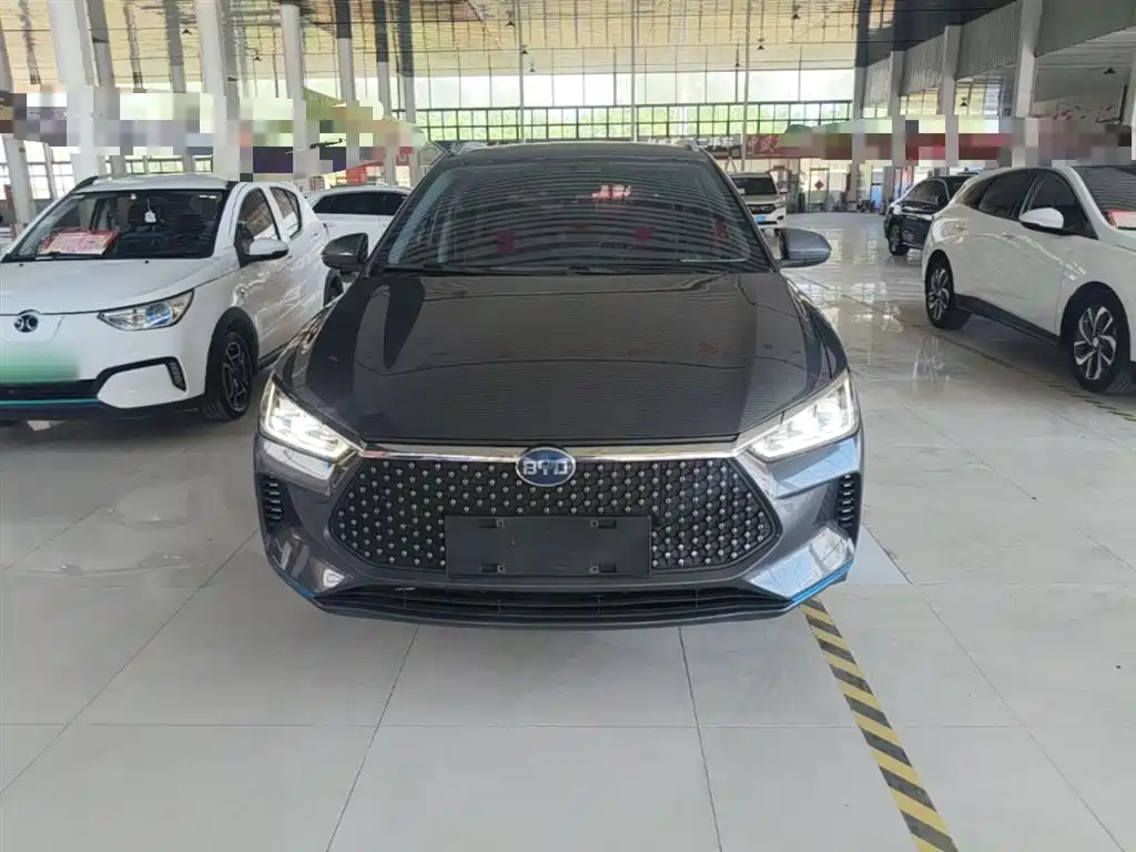 BYD e2 2021