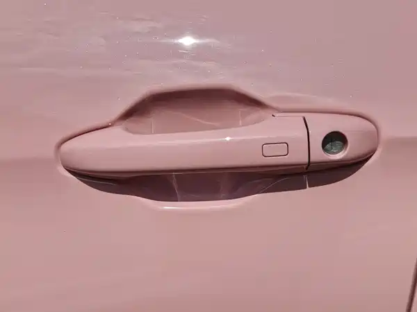Neta V 2021