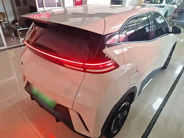 BYD Seagull 2024
