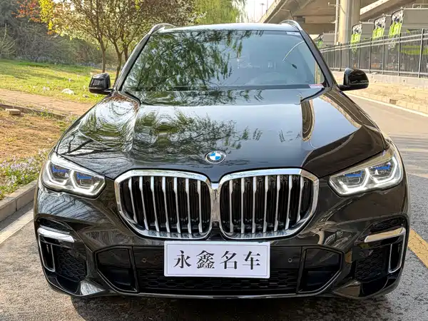 BMW X5 2022