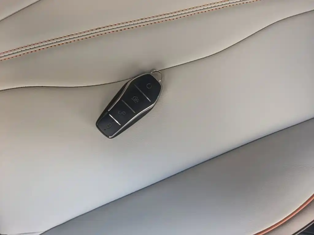 BYD Pro New Energy 2022 — фото 17