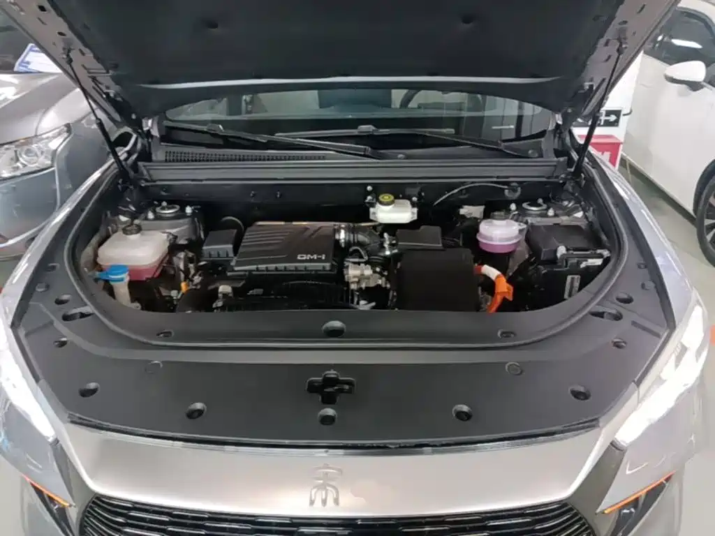 BYD Pro New Energy 2024 — фото 20
