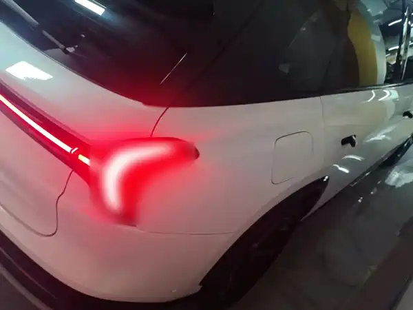 Neta L 2024
